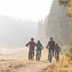 Blockline im Erzgebirge – das Mountainbike-Abenteuer für die ganze Familie – Wald